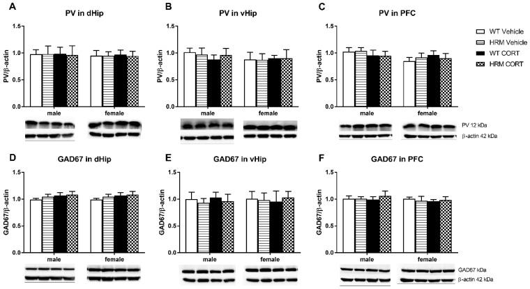 https://cdn.ncbi.nlm.nih.gov/pmc/blobs/a04e/6070826/50ede107cca5/brainsci-08-00118-g004.jpg