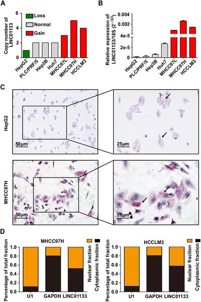 https://cdn.ncbi.nlm.nih.gov/pmc/blobs/a050/8101537/78707c235318/CTM2-11-e409-g001.jpg