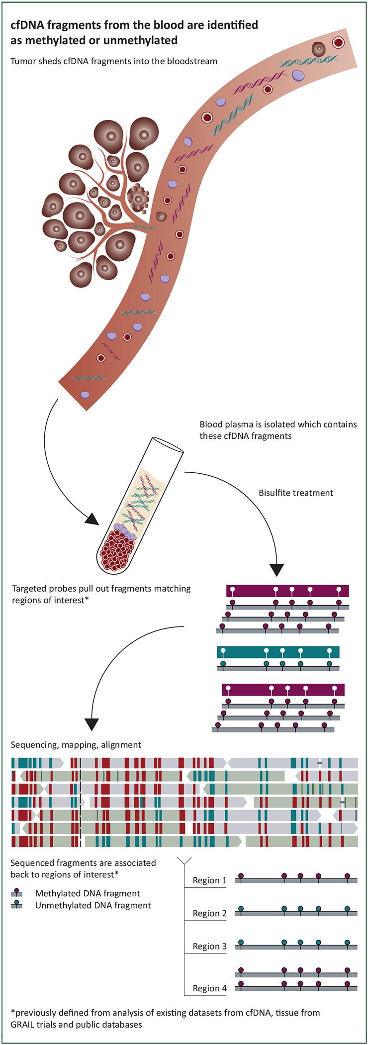 https://cdn.ncbi.nlm.nih.gov/pmc/blobs/a050/8274402/68119cf6a74e/nihms-1712146-f0002.jpg