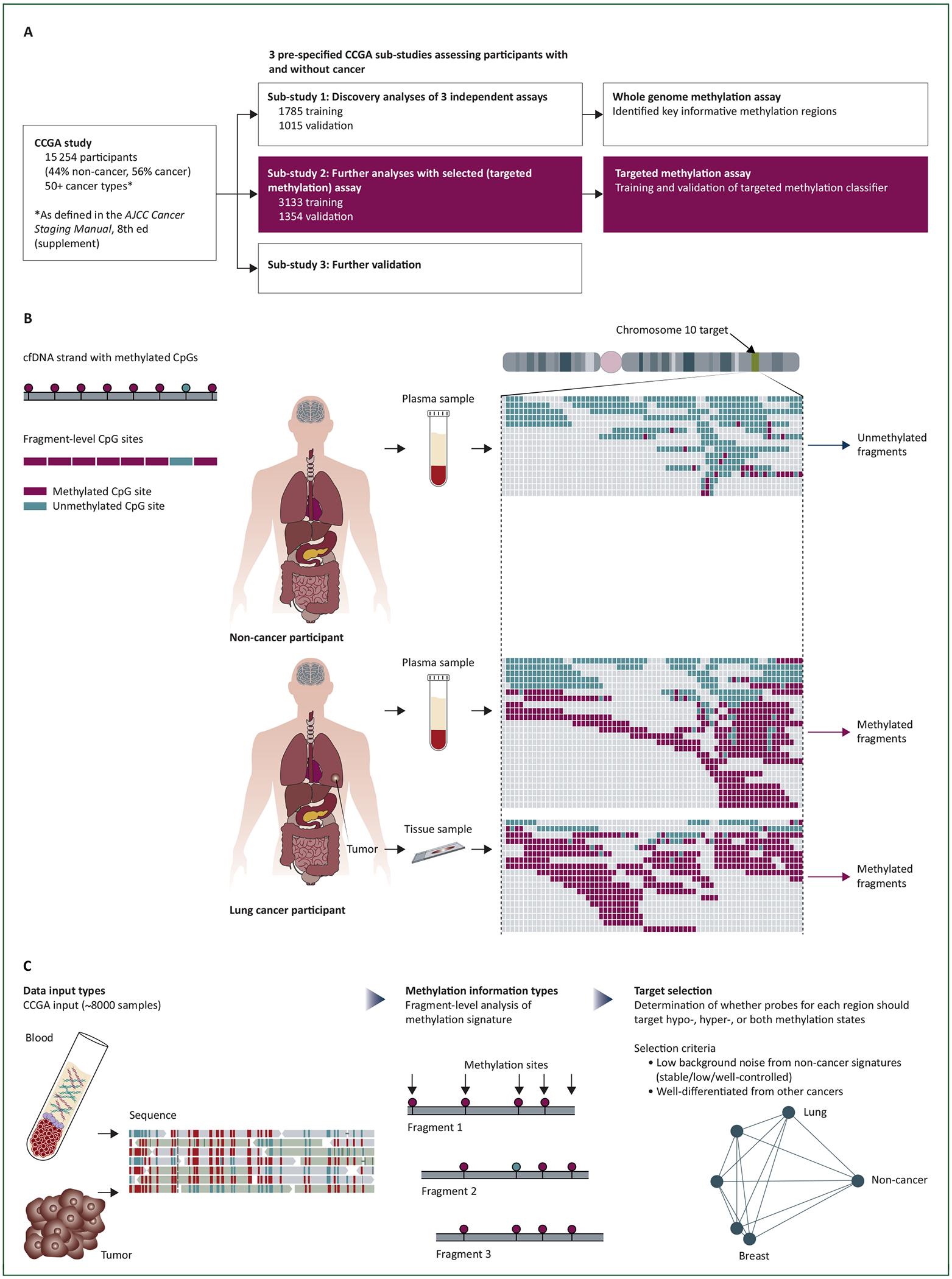 https://cdn.ncbi.nlm.nih.gov/pmc/blobs/a050/8274402/bca9e3234f08/nihms-1712146-f0001.jpg