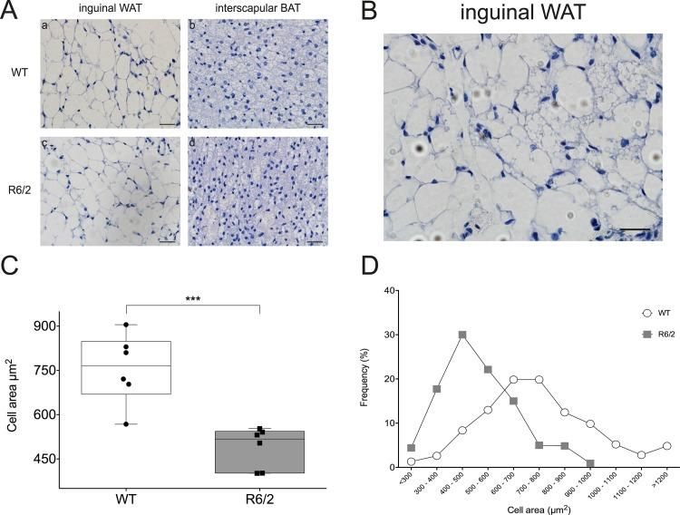 https://cdn.ncbi.nlm.nih.gov/pmc/blobs/a051/4972251/058a191ec89d/pone.0159870.g001.jpg
