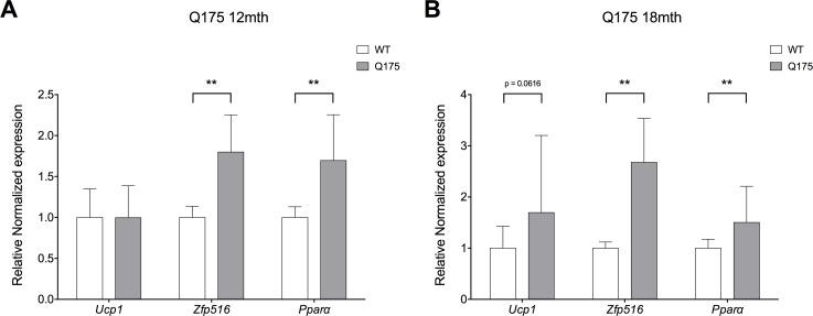 https://cdn.ncbi.nlm.nih.gov/pmc/blobs/a051/4972251/408824e01556/pone.0159870.g008.jpg