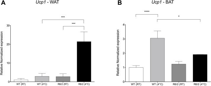 https://cdn.ncbi.nlm.nih.gov/pmc/blobs/a051/4972251/49a24a2c39da/pone.0159870.g005.jpg
