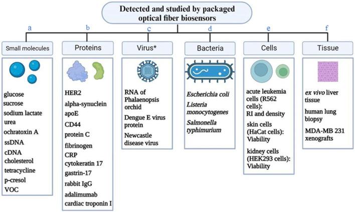https://cdn.ncbi.nlm.nih.gov/pmc/blobs/a055/11322460/3d2c8fe9a848/fbioe-12-1401613-g006.jpg