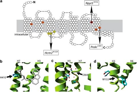 https://cdn.ncbi.nlm.nih.gov/pmc/blobs/a057/3194067/15a3ed3b09b9/tpj201044f2.jpg