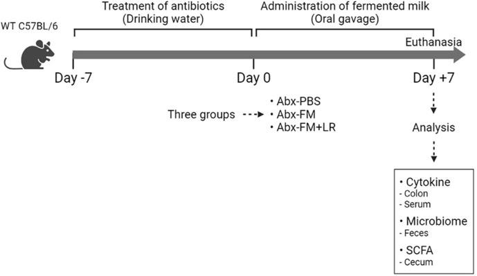 https://cdn.ncbi.nlm.nih.gov/pmc/blobs/a059/11239404/521fbd430ce9/jmb-34-6-1299-f1.jpg