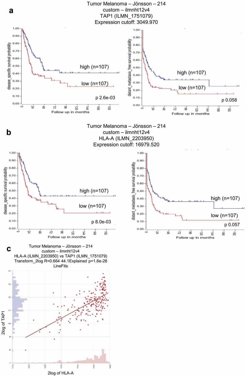 https://cdn.ncbi.nlm.nih.gov/pmc/blobs/a059/7458634/510e6ae1a39c/KONI_A_1774323_F0002_OC.jpg