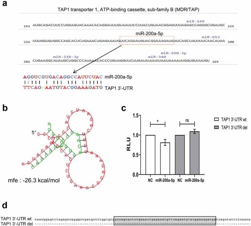 https://cdn.ncbi.nlm.nih.gov/pmc/blobs/a059/7458634/80c7162e4bcd/KONI_A_1774323_F0003_OC.jpg