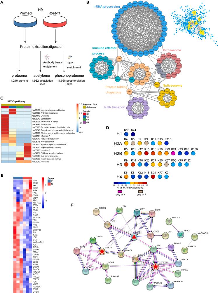 https://cdn.ncbi.nlm.nih.gov/pmc/blobs/a059/8718978/2f7eecb26130/gr2.jpg
