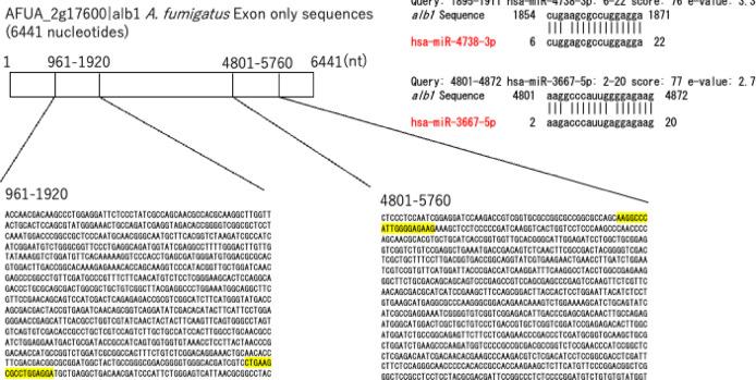 https://cdn.ncbi.nlm.nih.gov/pmc/blobs/a05b/12089607/029b5ca41244/41598_2025_2742_Fig1_HTML.jpg