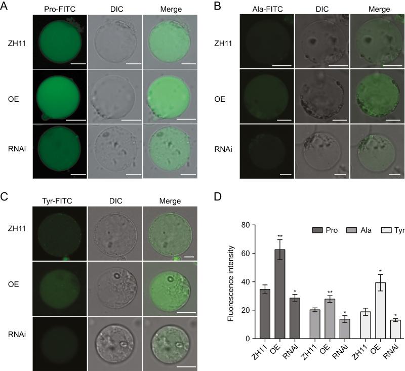 https://cdn.ncbi.nlm.nih.gov/pmc/blobs/a05b/7410190/5633cd875405/eraa256f0005.jpg