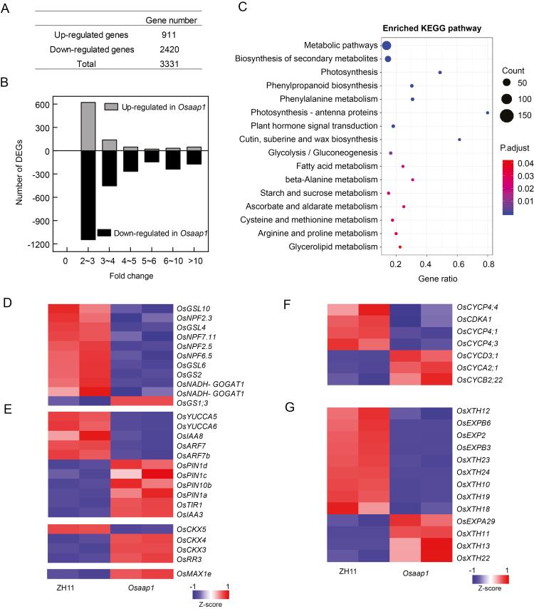 https://cdn.ncbi.nlm.nih.gov/pmc/blobs/a05b/7410190/7502995b021b/eraa256f0008.jpg