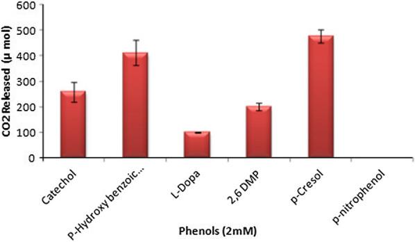https://cdn.ncbi.nlm.nih.gov/pmc/blobs/a05b/7891170/e47196658a05/12934_2021_1538_Fig3_HTML.jpg