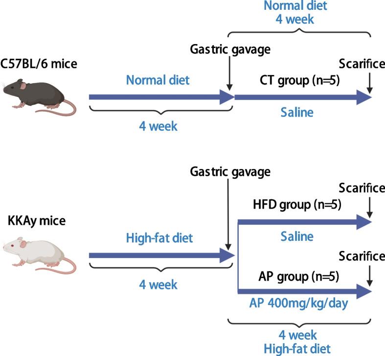 https://cdn.ncbi.nlm.nih.gov/pmc/blobs/a05c/10546737/a3c5bd538e56/12866_2023_3029_Fig1_HTML.jpg