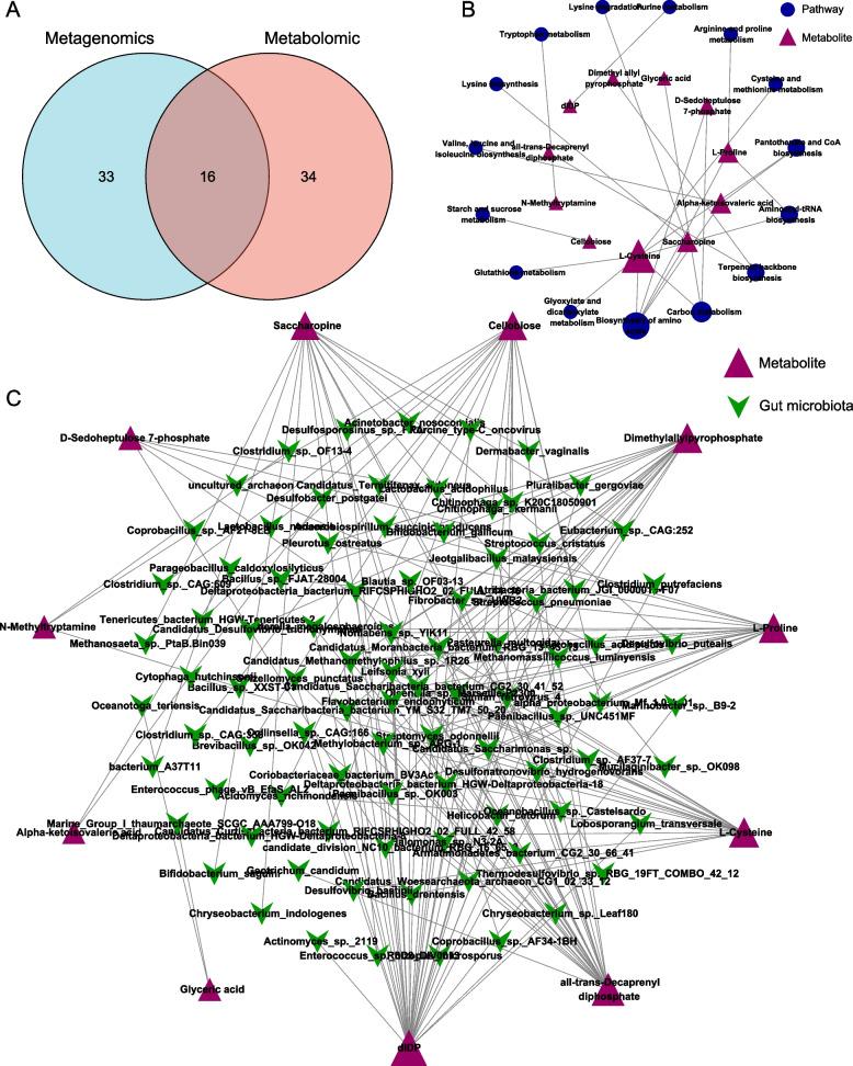 https://cdn.ncbi.nlm.nih.gov/pmc/blobs/a05c/10546737/c8bea9376409/12866_2023_3029_Fig6_HTML.jpg