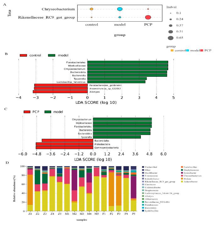 https://cdn.ncbi.nlm.nih.gov/pmc/blobs/a05d/10537689/7dd2075d6e72/microorganisms-11-02249-g002.jpg