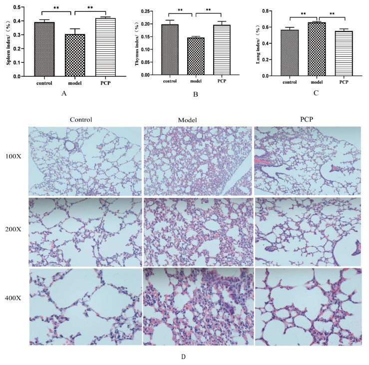 https://cdn.ncbi.nlm.nih.gov/pmc/blobs/a05d/10537689/db33005ca3be/microorganisms-11-02249-g001.jpg