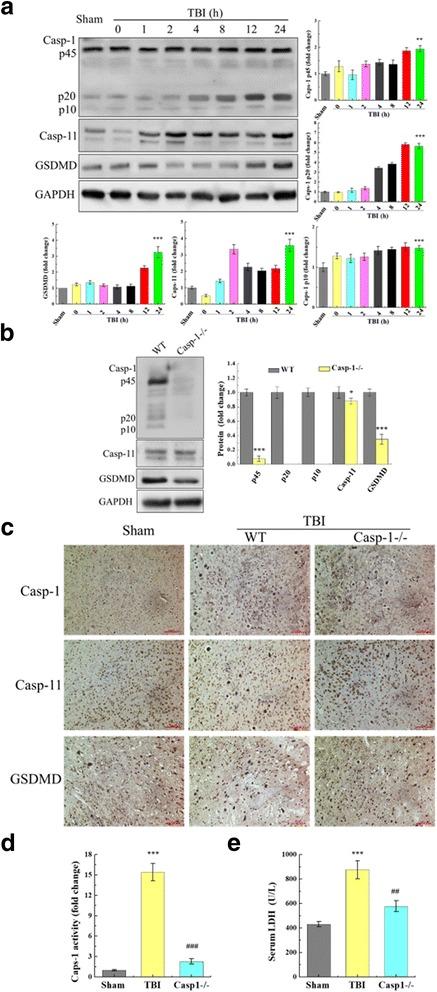 https://cdn.ncbi.nlm.nih.gov/pmc/blobs/a05d/5817788/e322faa5d969/12974_2018_1083_Fig3_HTML.jpg