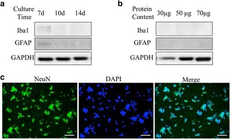 https://cdn.ncbi.nlm.nih.gov/pmc/blobs/a05d/5817788/f0661c433123/12974_2018_1083_Fig4_HTML.jpg