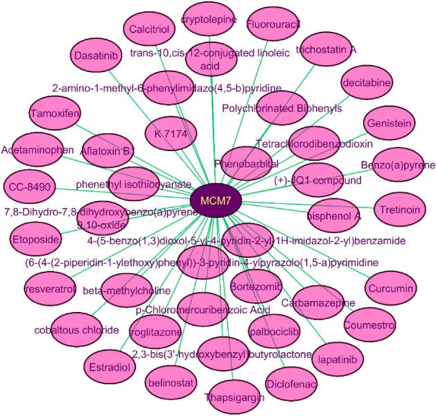 https://cdn.ncbi.nlm.nih.gov/pmc/blobs/a05e/8795118/f3943114fa1e/41598_2022_5621_Fig1_HTML.jpg