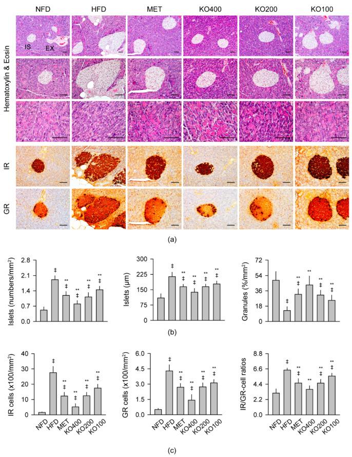 https://cdn.ncbi.nlm.nih.gov/pmc/blobs/a05f/9410137/4df67b598fa6/marinedrugs-20-00483-g006.jpg