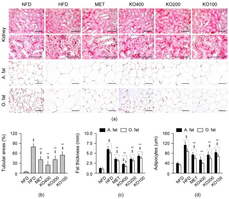 https://cdn.ncbi.nlm.nih.gov/pmc/blobs/a05f/9410137/51bf1f8c8a8e/marinedrugs-20-00483-g007.jpg