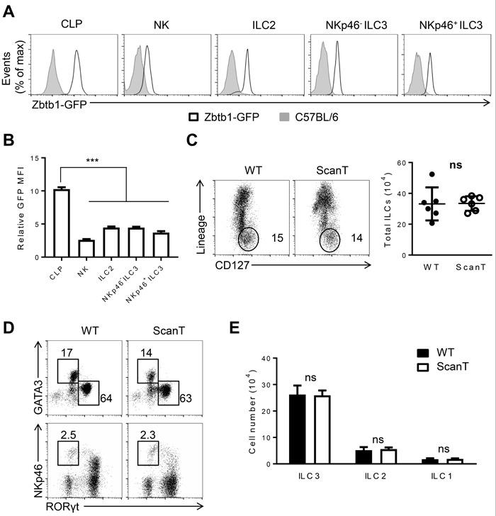 https://cdn.ncbi.nlm.nih.gov/pmc/blobs/a063/5593530/2fdb68e7f0e3/oncotarget-08-55877-g001.jpg