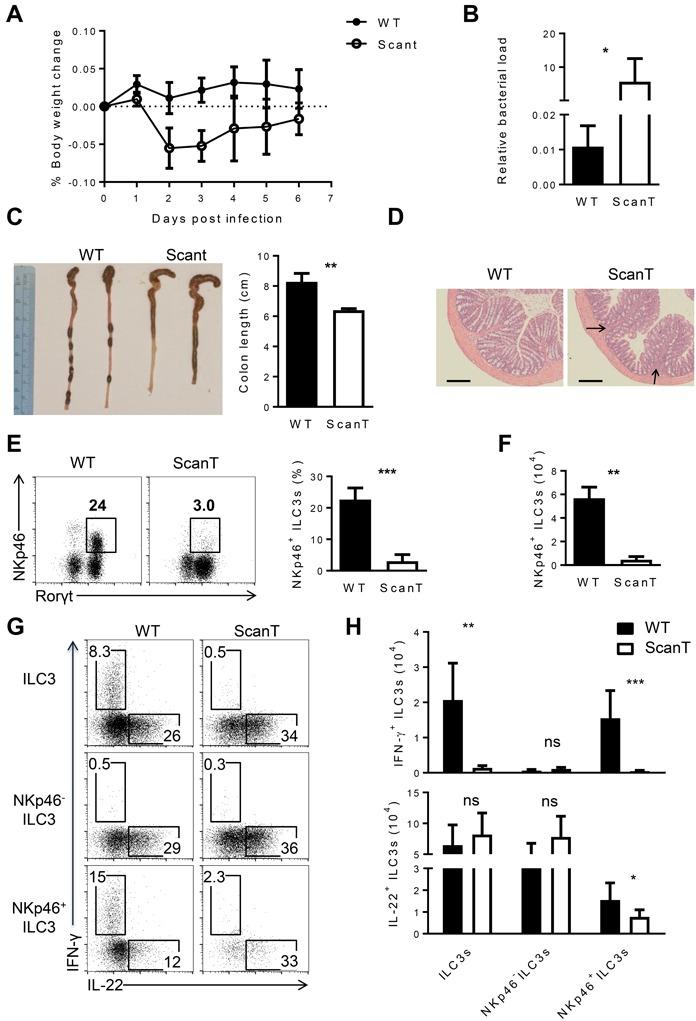 https://cdn.ncbi.nlm.nih.gov/pmc/blobs/a063/5593530/f601e6d38128/oncotarget-08-55877-g005.jpg