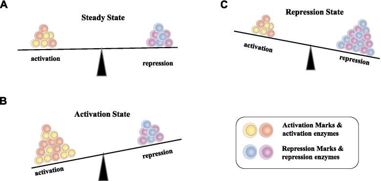 https://cdn.ncbi.nlm.nih.gov/pmc/blobs/a065/8691037/0919780d7277/12943_2021_1464_Fig1_HTML.jpg