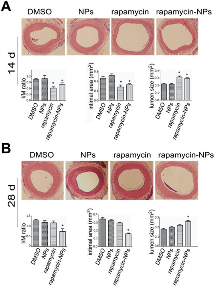 https://cdn.ncbi.nlm.nih.gov/pmc/blobs/a068/3931710/1ad5aafc0f65/pone.0089227.g004.jpg