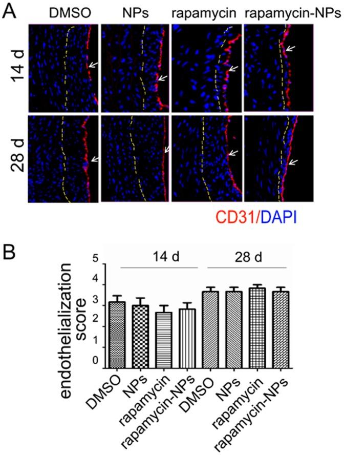 https://cdn.ncbi.nlm.nih.gov/pmc/blobs/a068/3931710/53b167643560/pone.0089227.g006.jpg