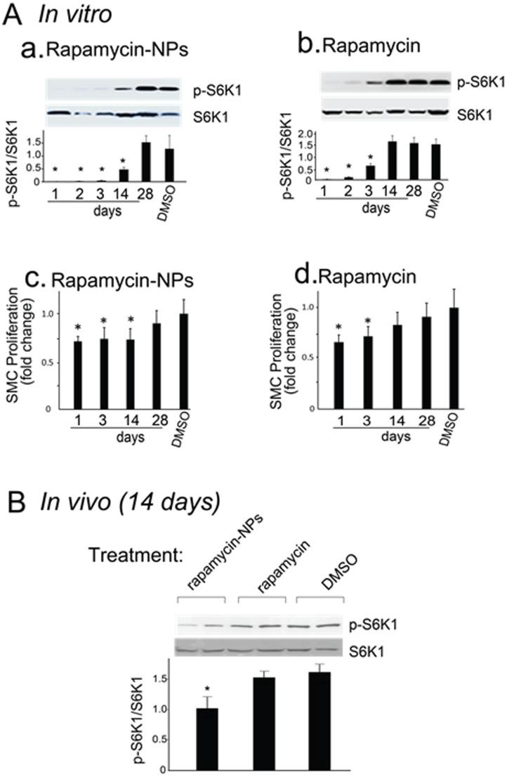 https://cdn.ncbi.nlm.nih.gov/pmc/blobs/a068/3931710/6146e00f5ddf/pone.0089227.g003.jpg