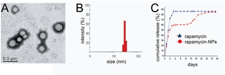 https://cdn.ncbi.nlm.nih.gov/pmc/blobs/a068/3931710/f8958d4a32f0/pone.0089227.g001.jpg