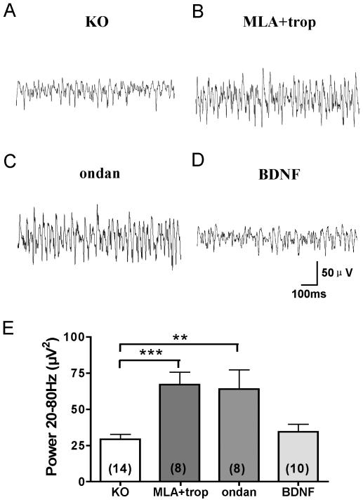 https://cdn.ncbi.nlm.nih.gov/pmc/blobs/a069/3027673/30d529587e8d/pone.0016480.g005.jpg