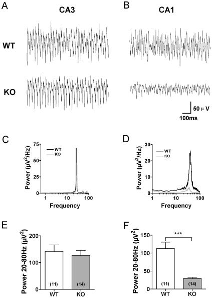https://cdn.ncbi.nlm.nih.gov/pmc/blobs/a069/3027673/96e418c257b6/pone.0016480.g001.jpg