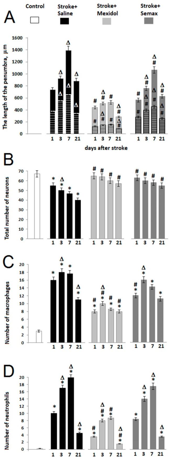 https://cdn.ncbi.nlm.nih.gov/pmc/blobs/a069/8002020/8b0e91a84bad/brainsci-11-00325-g005.jpg