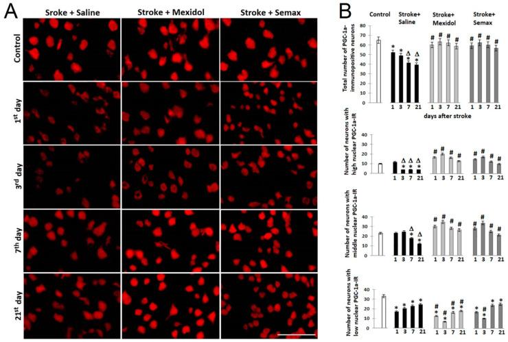 https://cdn.ncbi.nlm.nih.gov/pmc/blobs/a069/8002020/f9f7910840f9/brainsci-11-00325-g007.jpg