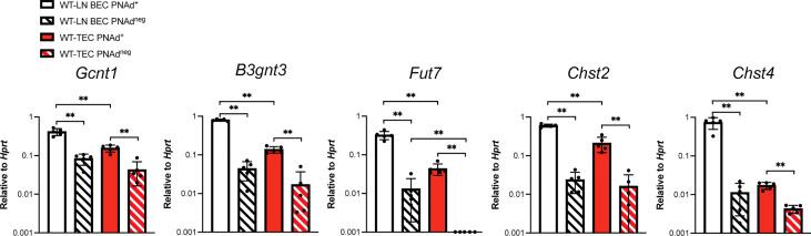 https://cdn.ncbi.nlm.nih.gov/pmc/blobs/a069/9520236/50affef8a376/fimmu-13-1009306-g003.jpg