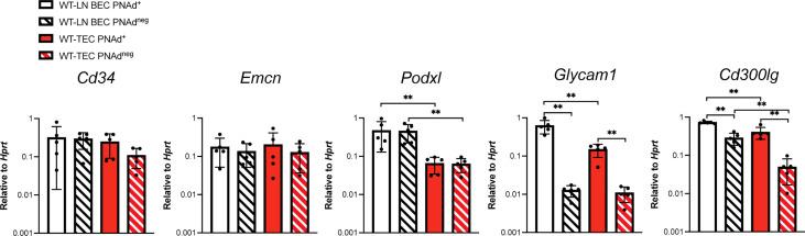 https://cdn.ncbi.nlm.nih.gov/pmc/blobs/a069/9520236/6ad8b8663237/fimmu-13-1009306-g004.jpg