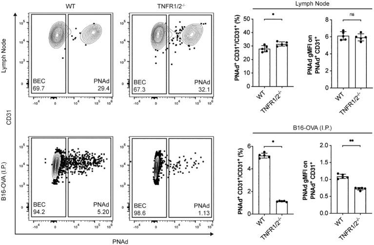 https://cdn.ncbi.nlm.nih.gov/pmc/blobs/a069/9520236/8557d40188a8/fimmu-13-1009306-g005.jpg