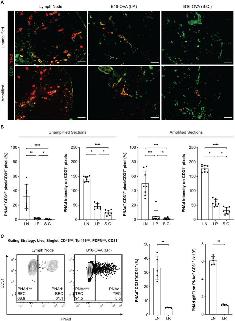 https://cdn.ncbi.nlm.nih.gov/pmc/blobs/a069/9520236/c7f1fe1a4234/fimmu-13-1009306-g002.jpg