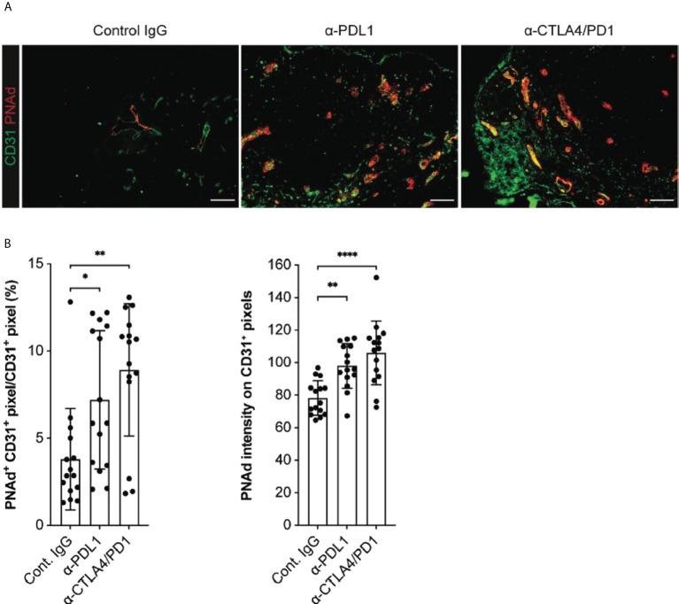 https://cdn.ncbi.nlm.nih.gov/pmc/blobs/a069/9520236/e24ae790ff43/fimmu-13-1009306-g008.jpg