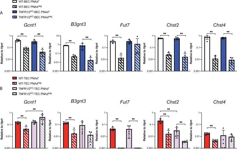 https://cdn.ncbi.nlm.nih.gov/pmc/blobs/a069/9520236/e38e13d52313/fimmu-13-1009306-g006.jpg