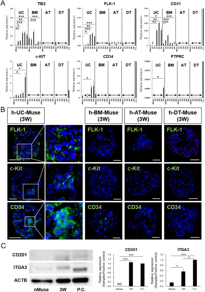 https://cdn.ncbi.nlm.nih.gov/pmc/blobs/a06a/11335221/3346b5246214/18_2024_5339_Fig6_HTML.jpg
