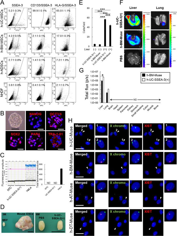 https://cdn.ncbi.nlm.nih.gov/pmc/blobs/a06a/11335221/3e61def38ed6/18_2024_5339_Fig1_HTML.jpg