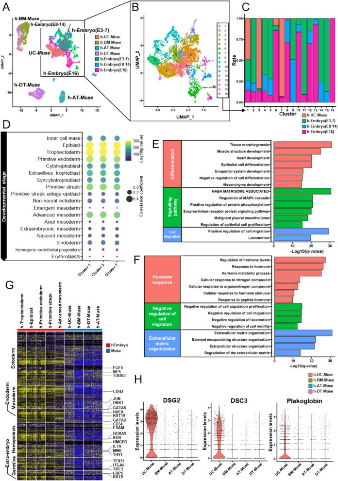 https://cdn.ncbi.nlm.nih.gov/pmc/blobs/a06a/11335221/4ed3dd4be15b/18_2024_5339_Fig2_HTML.jpg