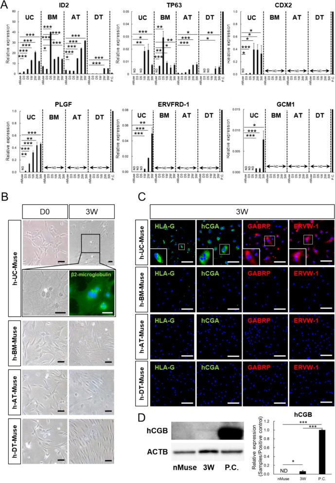 https://cdn.ncbi.nlm.nih.gov/pmc/blobs/a06a/11335221/79c74baed965/18_2024_5339_Fig4_HTML.jpg