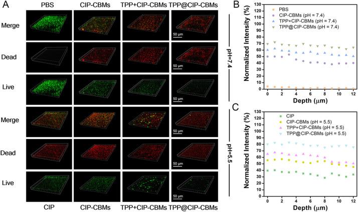 https://cdn.ncbi.nlm.nih.gov/pmc/blobs/a06c/10236462/6bd4988b2e5d/gr5.jpg
