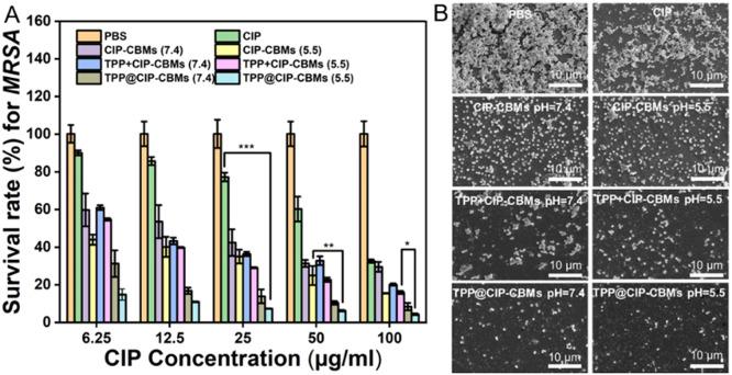 https://cdn.ncbi.nlm.nih.gov/pmc/blobs/a06c/10236462/99de5bdc2da8/gr4.jpg