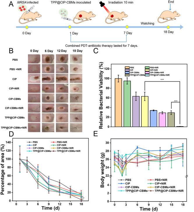 https://cdn.ncbi.nlm.nih.gov/pmc/blobs/a06c/10236462/de1258e587b5/gr8.jpg